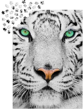 Rompecabezas Tigres blancos de bengala Tigre Blanco Siberiano Enjoy Puzzle 1000 piezas