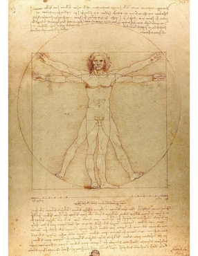 Rompecabezas Leonardo da Vinci - El Hombre de Vitruvio Enjoy Puzzle 1000 piezas