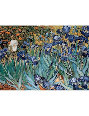 Rompecabezas Vincent van Gogh Flores de Iris Eurographics 1000 piezas