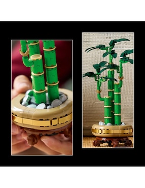 Lego Botanicals LEGO Bambú de la Suerte 10344