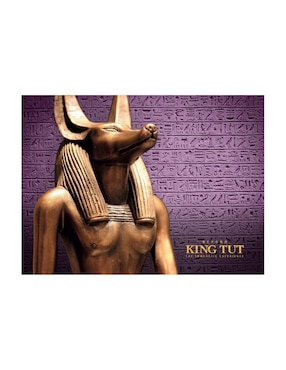 Rompecabezas El cairo, Egipto Flink 1000 piezas