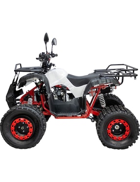 Cuatrimoto montable Little Monkey  de combustible