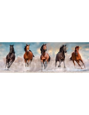 Rompecabezas Caballos Panorama Compact Clementoni 1000 piezas