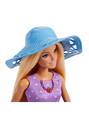 Set muñecas Barbie Family and Friends
