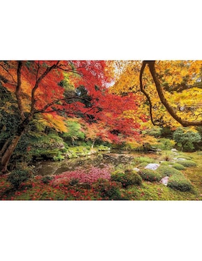 Rompecabezas Parque En Otoño Parque En Otoño Clementoni 1500 piezas