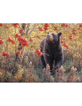Rompecabezas Animales Oso En El Bosque Cobble Hill 500 piezas