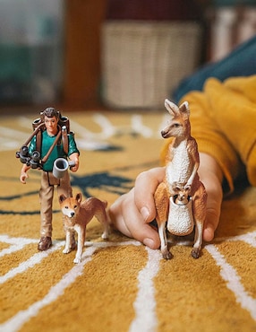 Set Schleich