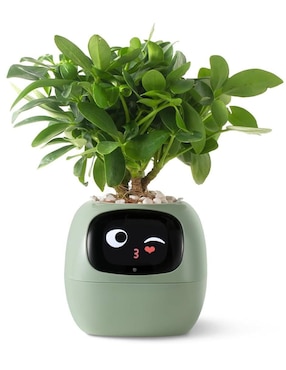 Robot Plantsio