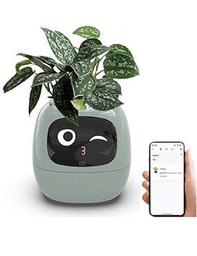 Robot Plantsio