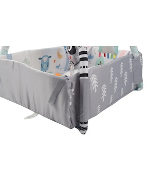 Gimnasio Pingüe