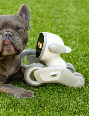 Robot Keyi Robot