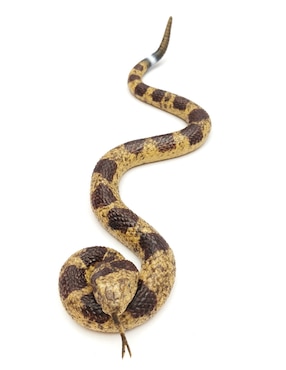 Figura de serpiente Toy Town