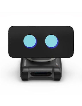 Robot Tangible Future