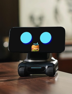 Robot Tangible Future