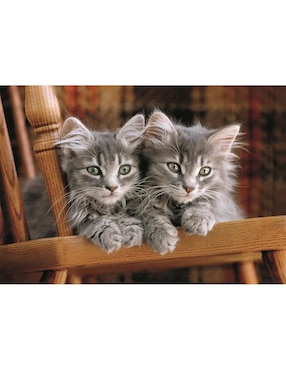 Rompecabezas Gatitos Clementoni 500 piezas