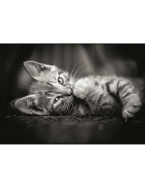Rompecabezas Gatito Kitty (Compact Pro Ecología) Clementoni 1000 piezas