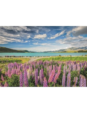 Rompecabezas Paisaje Flores Del Lago Tekapo En Nueva Zelanda (Compact Pro Ecología) Clementoni 1500 piezas