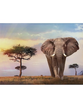 Rompecabezas elefantes Atardecer en África Clementoni 500 piezas