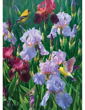 Rompecabezas Flores Gloria de Primavera Cobble Hill 1000 piezas