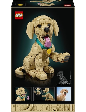 Lego Lego Golden Retriever Puppy 11384 Icons