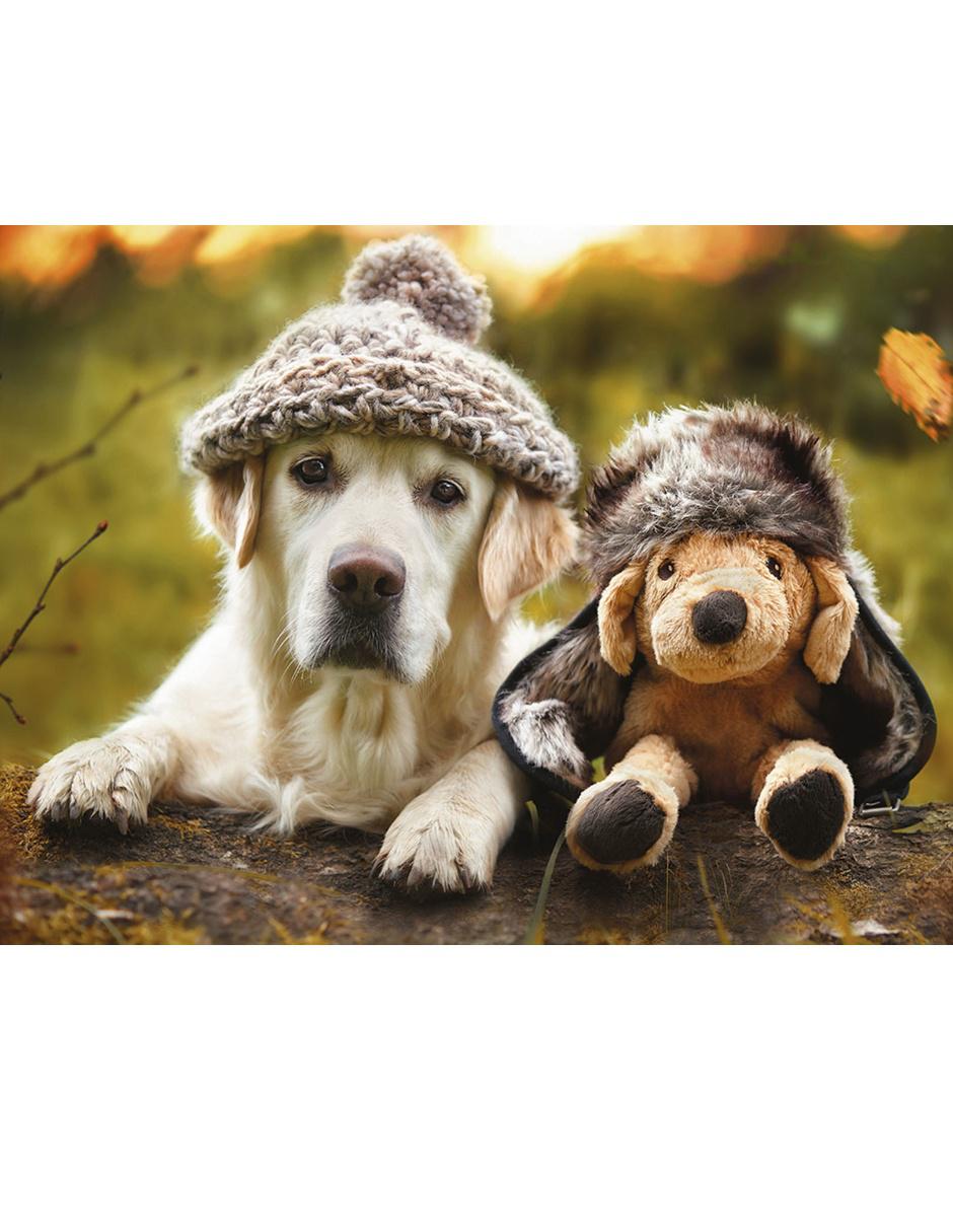 Rompecabezas Labrador en Invierno 500 Piezas 2