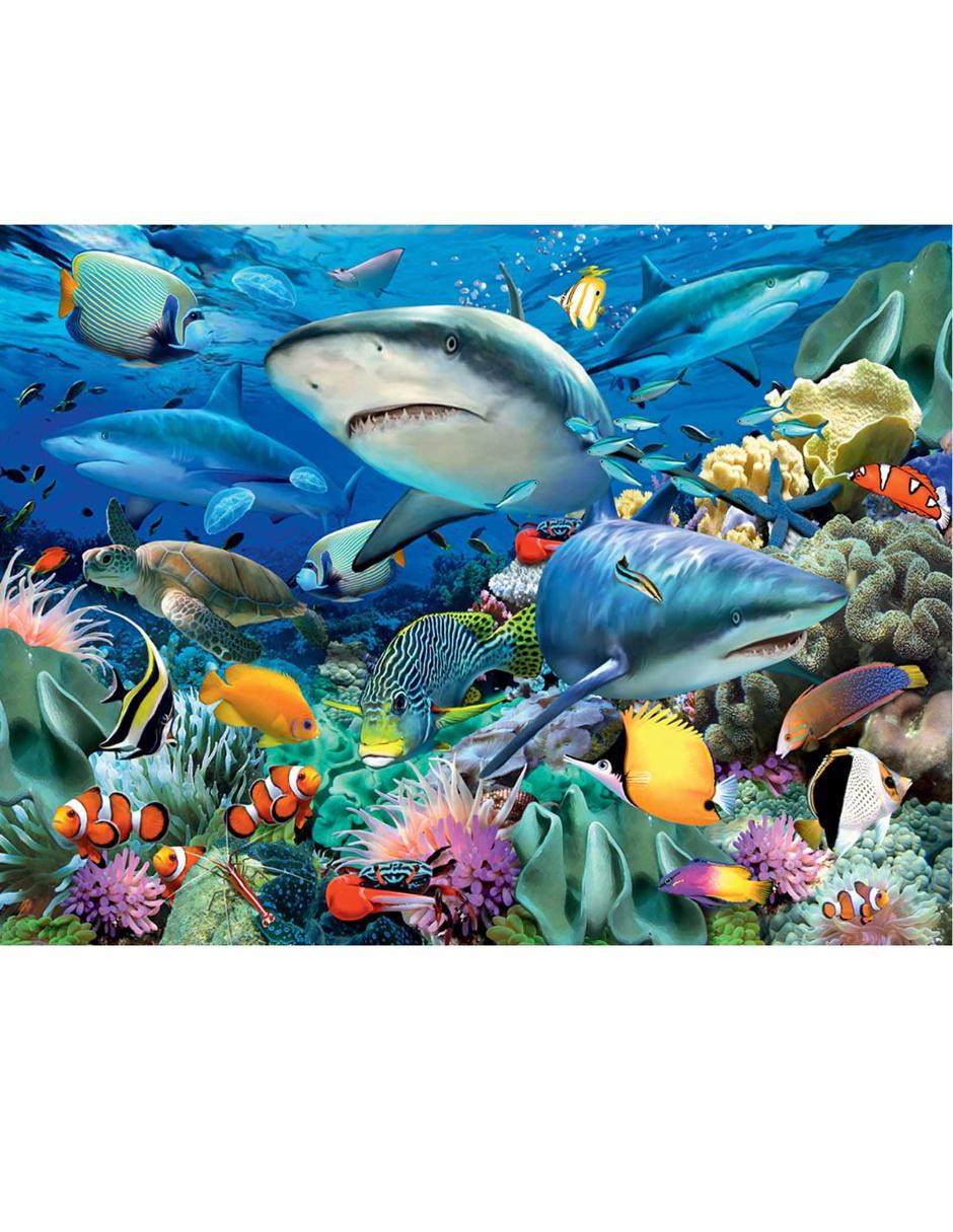 Rompecabezas Arrecife de Coral 100 piezas 2