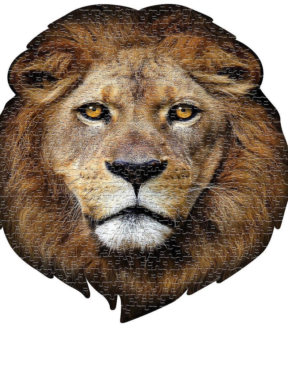 Rompecabezas Animales León 550 piezas 1