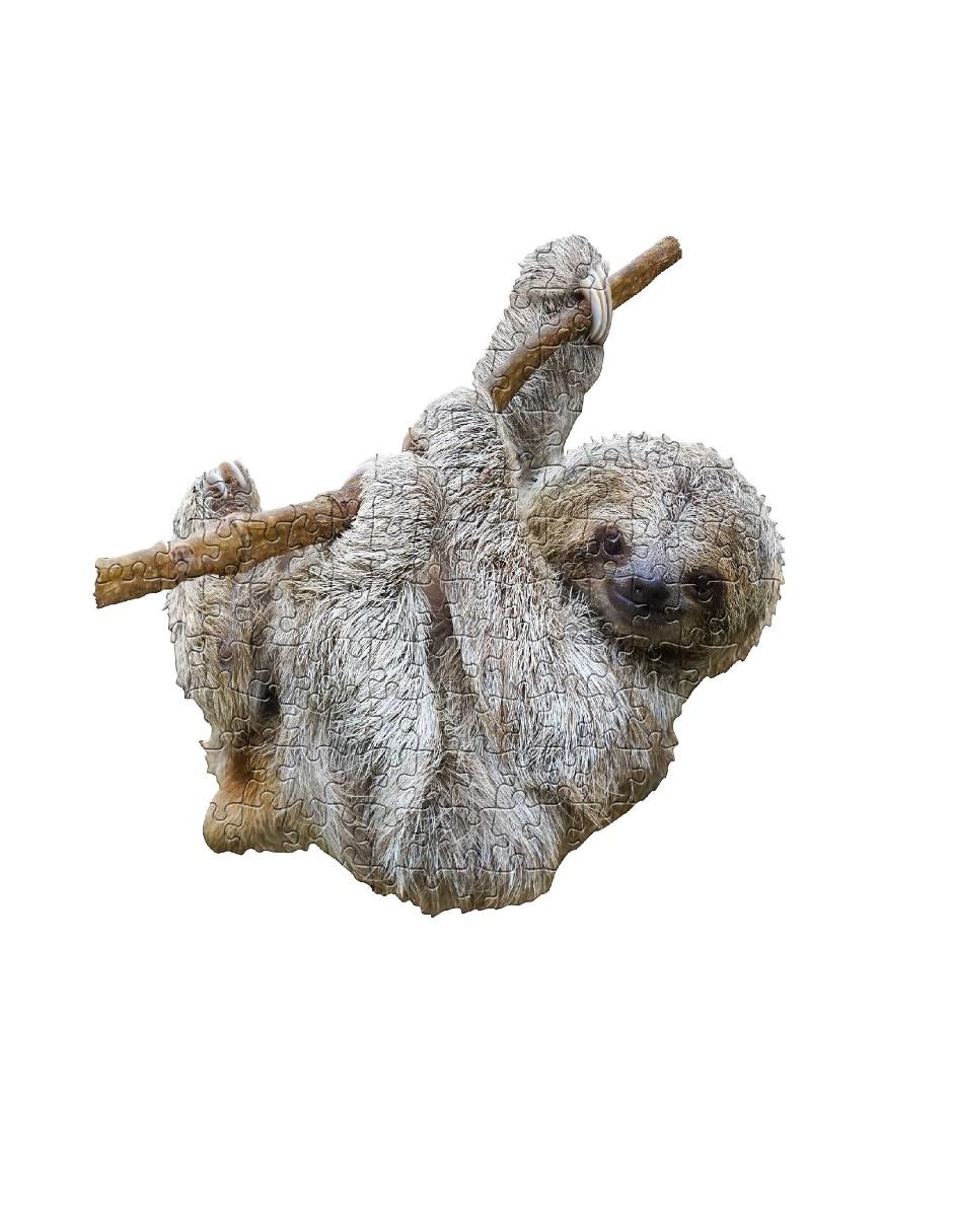 Rompecabezas Jr Animales Perezoso 100 piezas Rompecabezas Jr Animales Perezoso 100 piezas