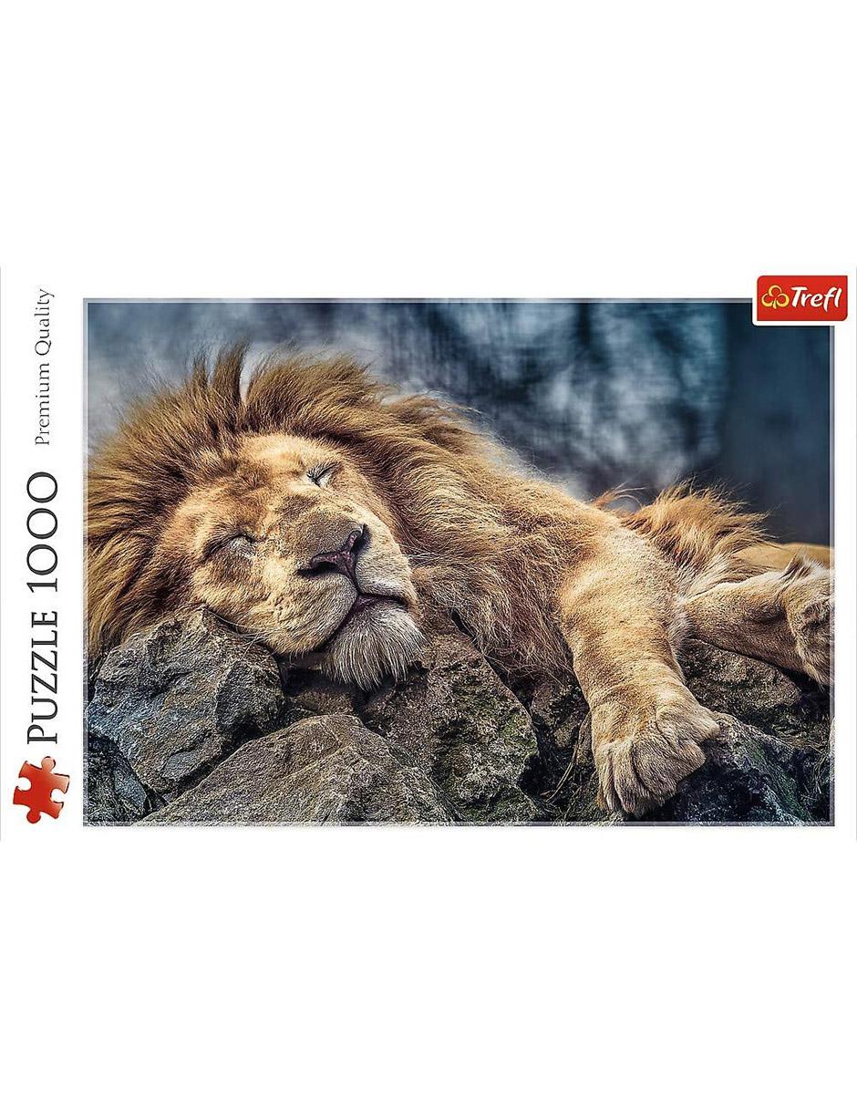 Rompecabezas Leon Durmiendo 3