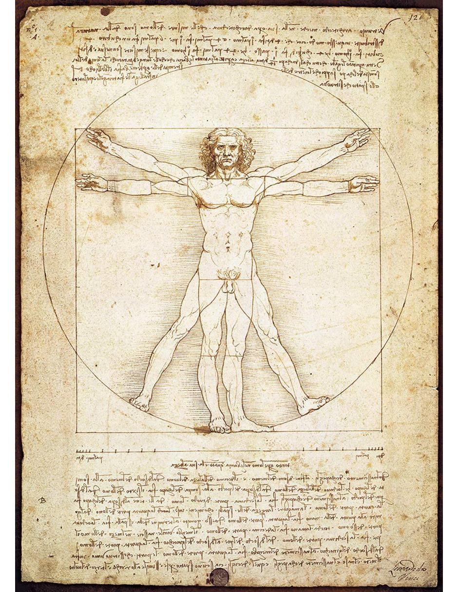 Rompecabezas 1000 piezas Leonardo Da Vinci: El Hombre 2