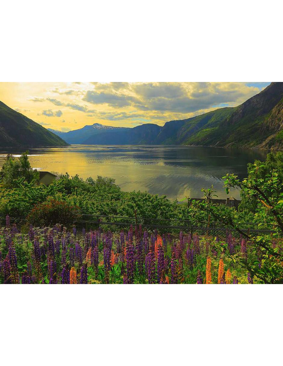 Rompecabezas Fiordos En Noruega 1000 Piezas 2