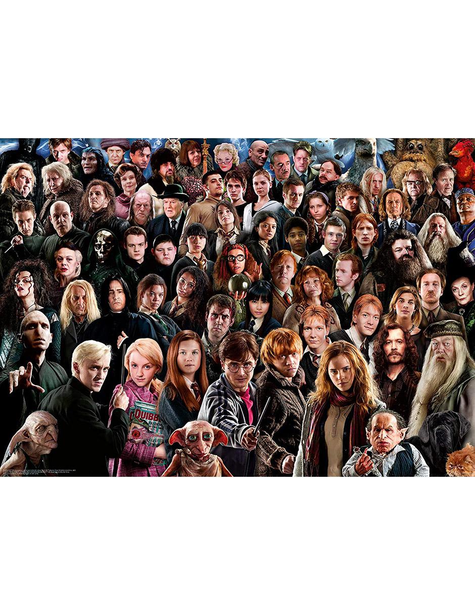 Rompecabezas Harry Potter Challenge 1000 Piezas 2