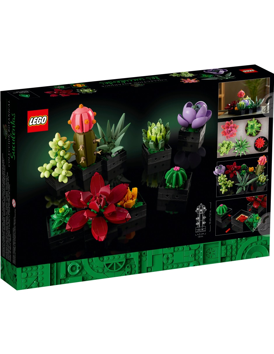 Icons Suculentas 10309 Botanicals 2