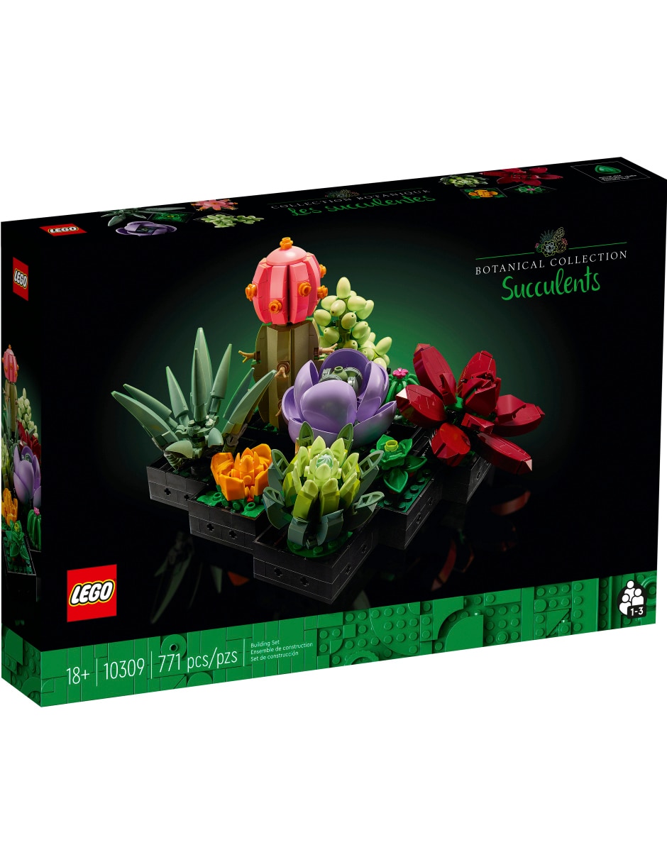Icons Suculentas 10309 Botanicals 3