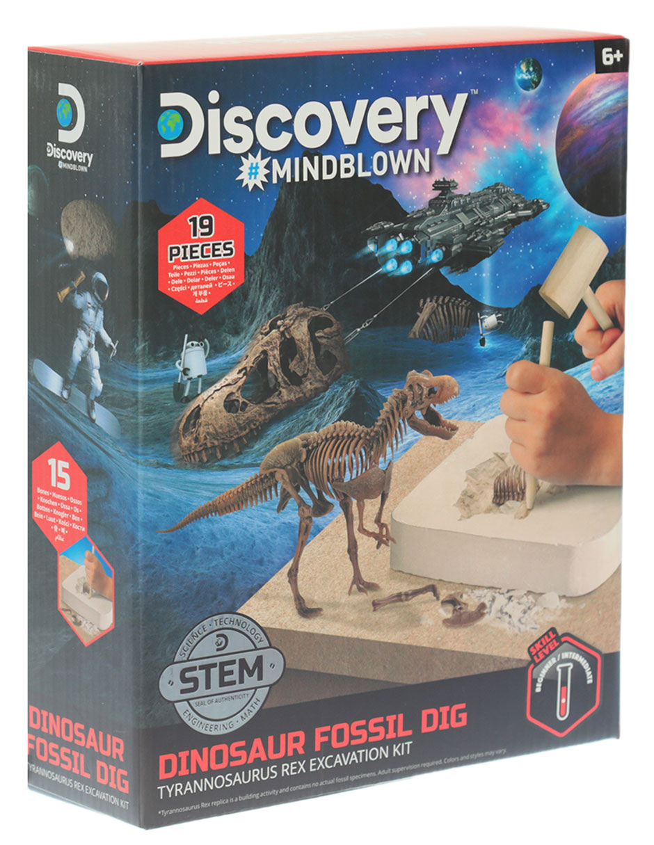 Dinosaur Fossil Dig 2