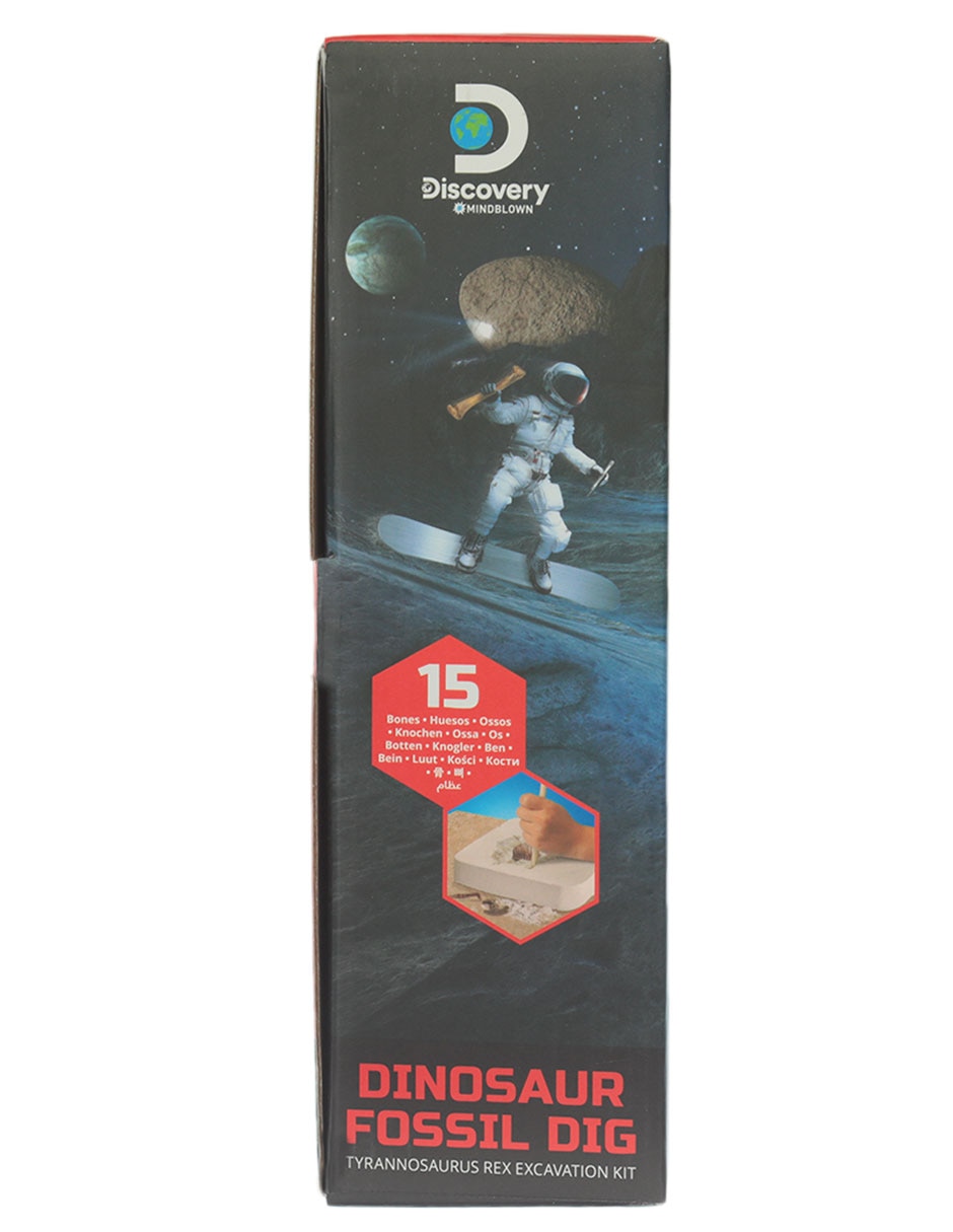 Dinosaur Fossil Dig 3
