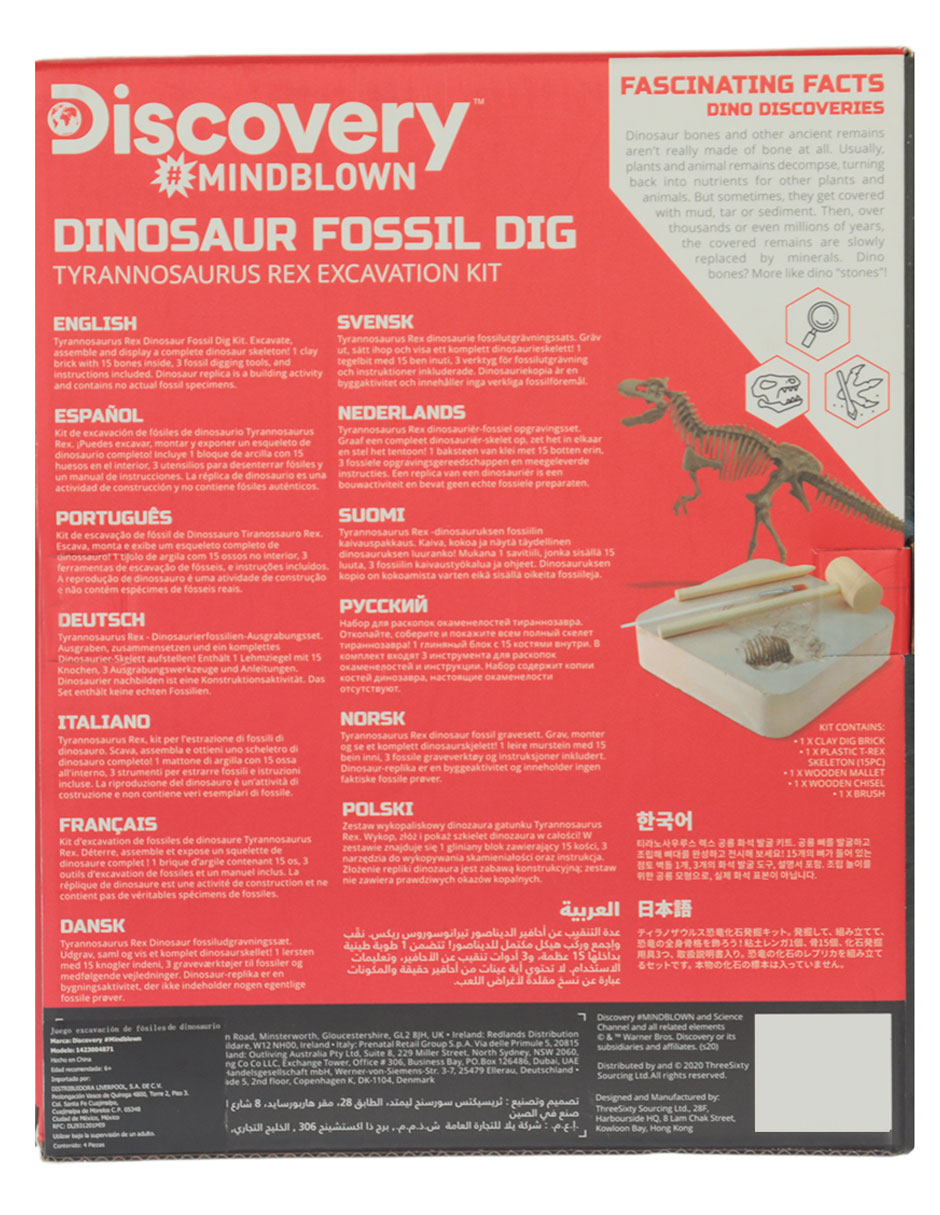 Dinosaur Fossil Dig 4