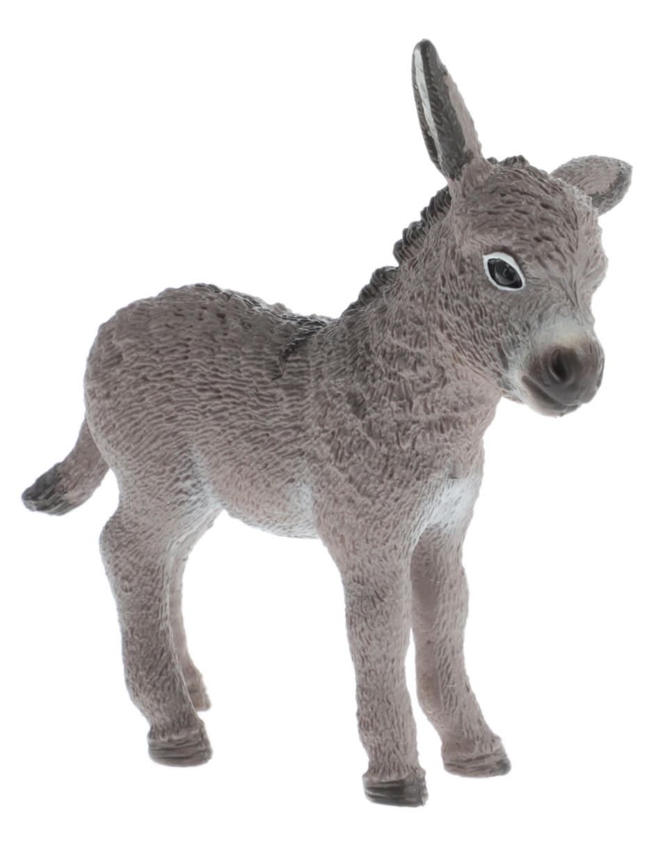 Figura de burro