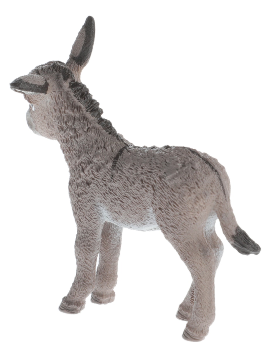 Figura de burro 3