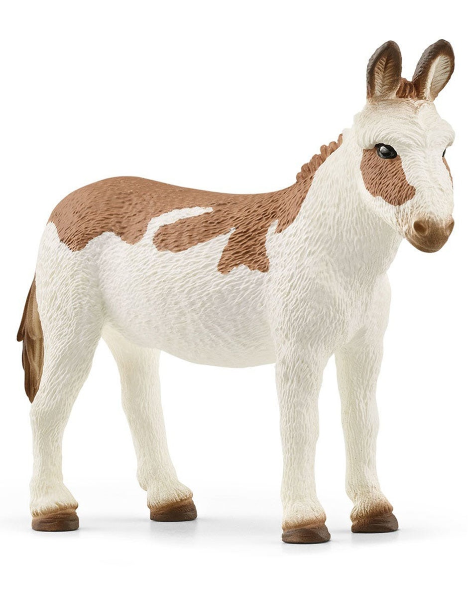 Figura de burro