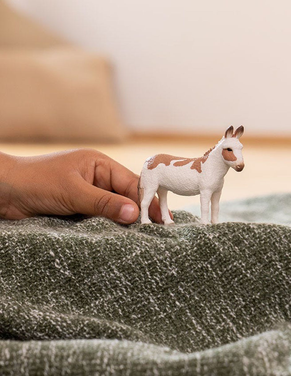 Figura de burro 2