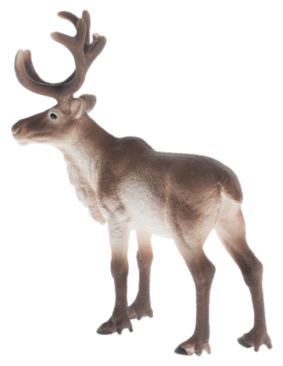 Figura de reno 3