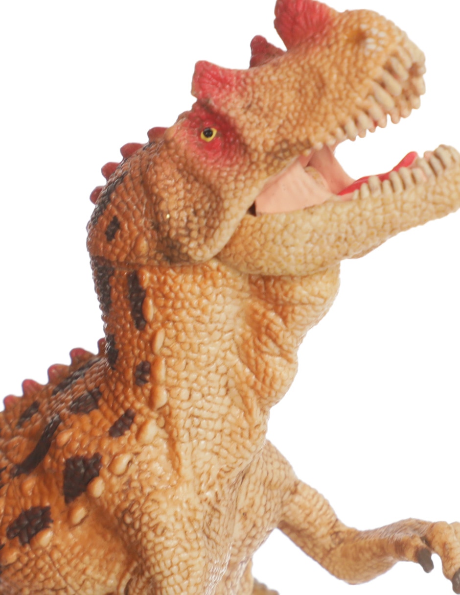 Figura de ceratosaurio 4