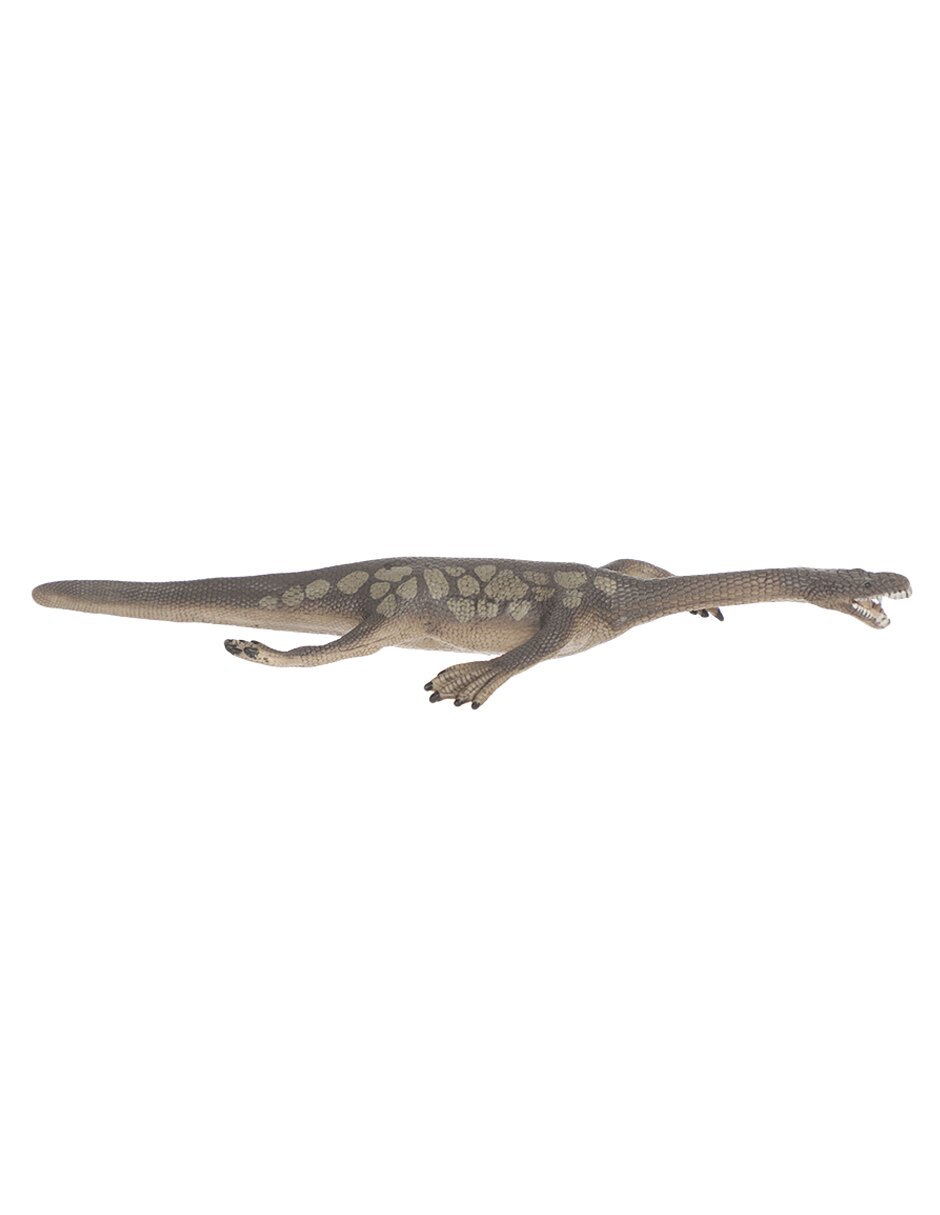 Figura de nothosaurus 2
