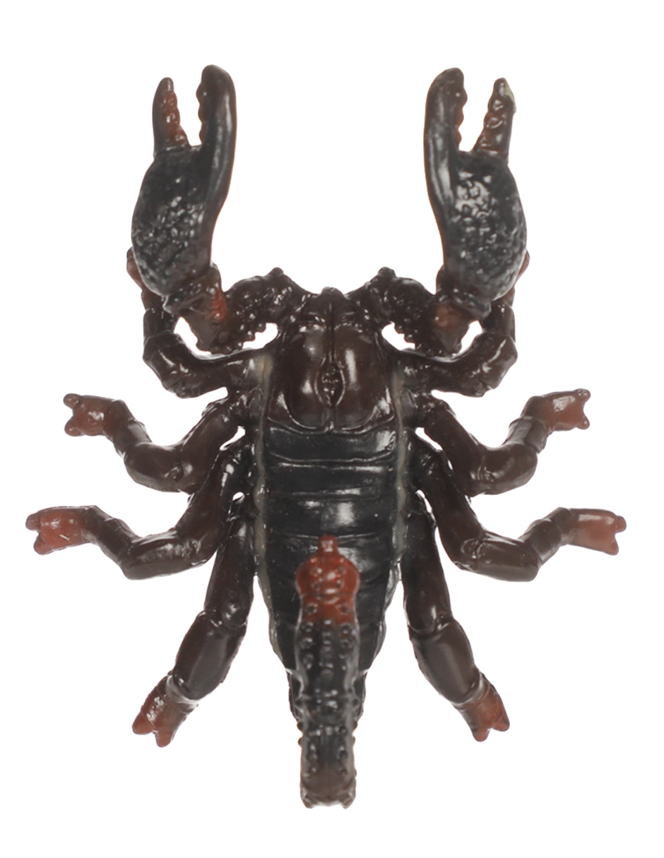 Figura de escorpión emperador 4