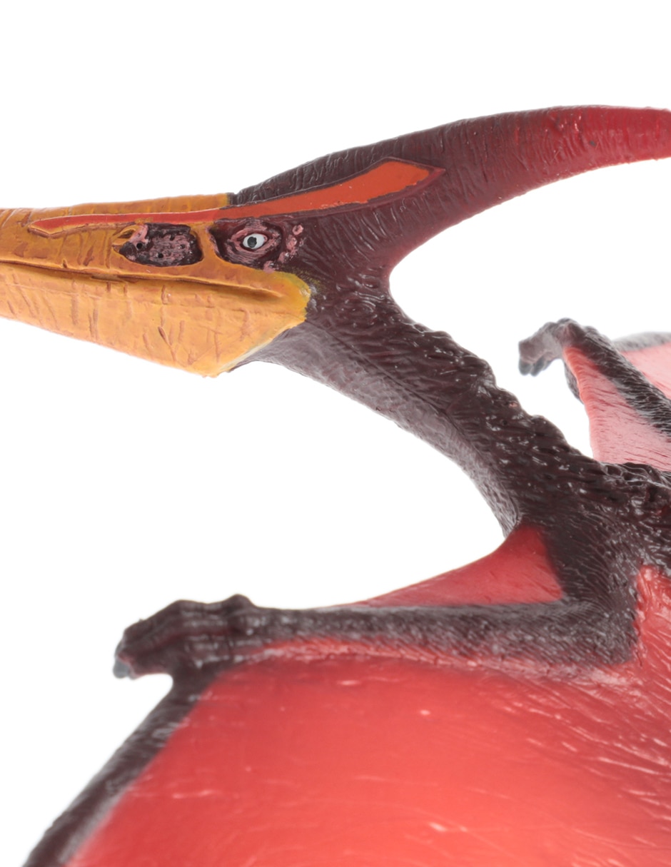 Figura de pteranodon 4