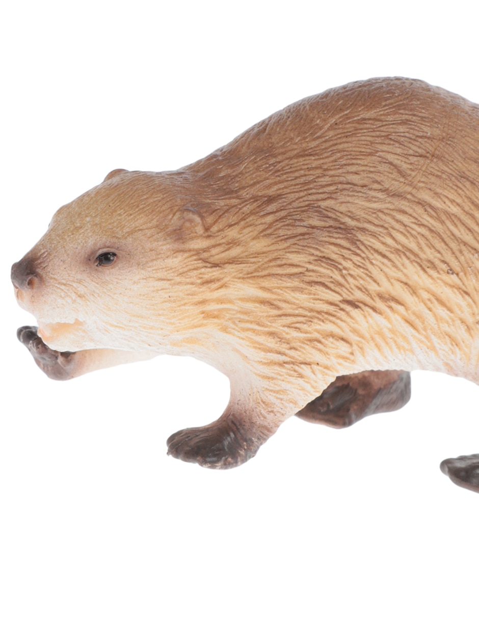 Figura de castor 4