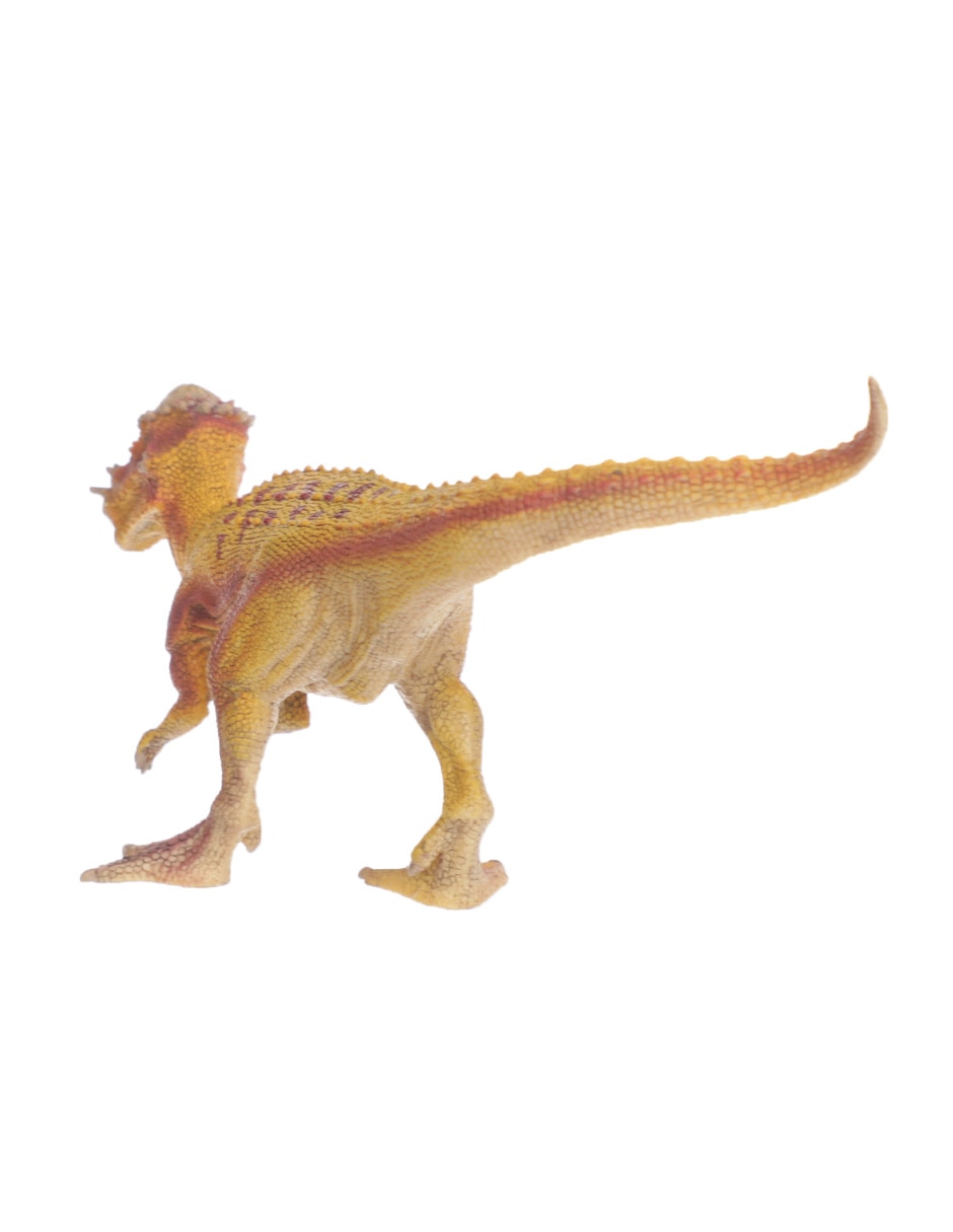 Figura de paquicefalosaurio 3