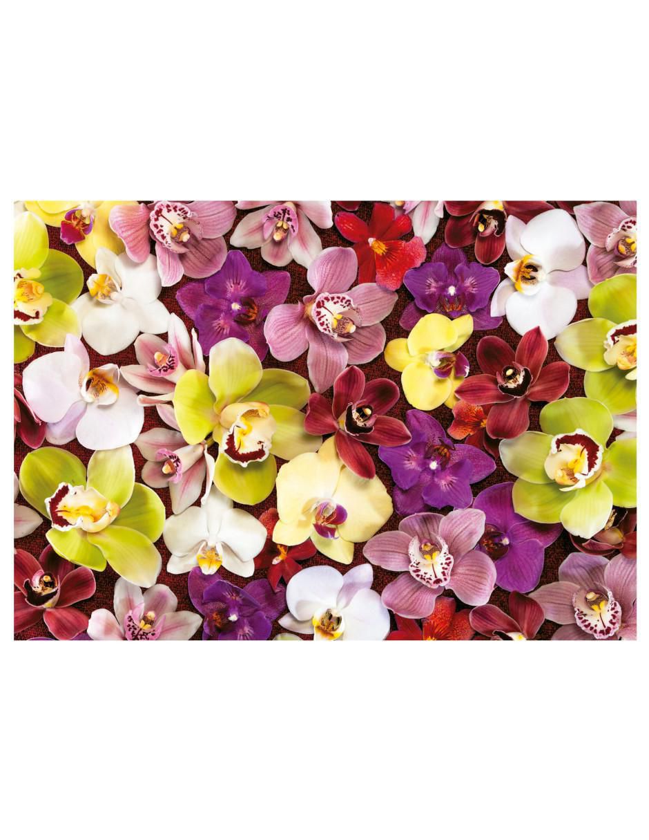 Rompecabezas Collage de Orquideas 1000 piezas 2