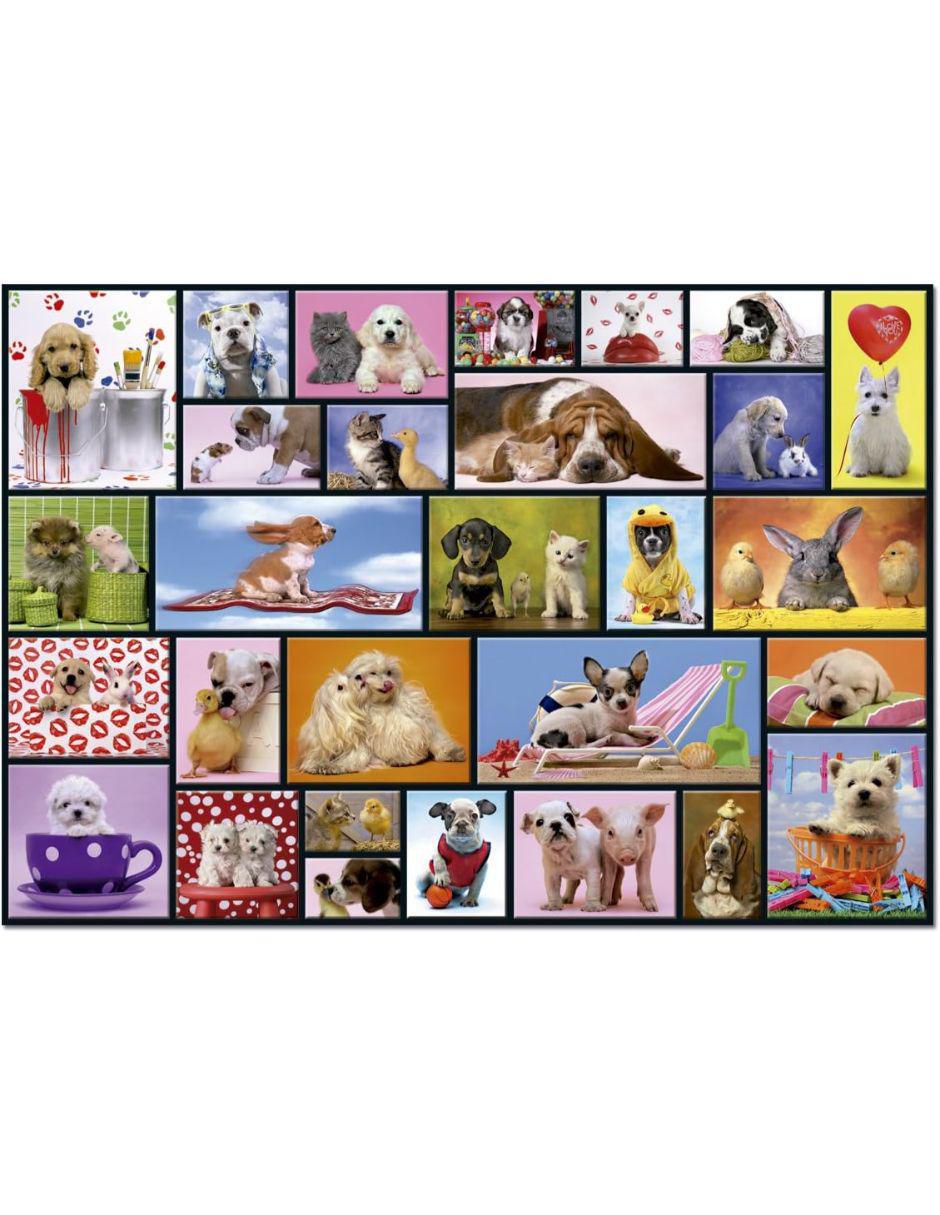Rompecabezas Perritos 1000 piezas 2